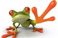 pic for 3d Frog 